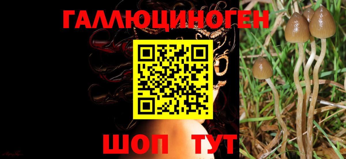 Галлюциногенные грибы Cubensis  Вход с VPN  Лысьва  Галлюциногенные грибы Cubensis 